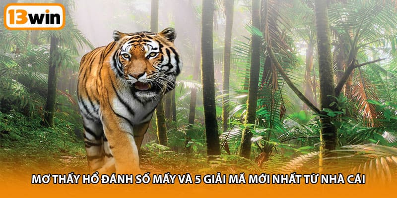 Mơ thấy hổ